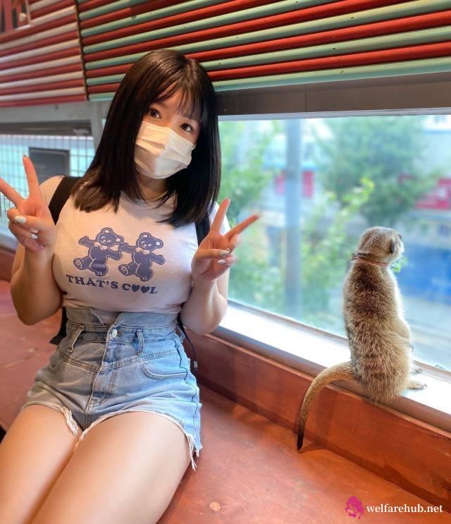 正规真人交友平台！支持av1编码显卡